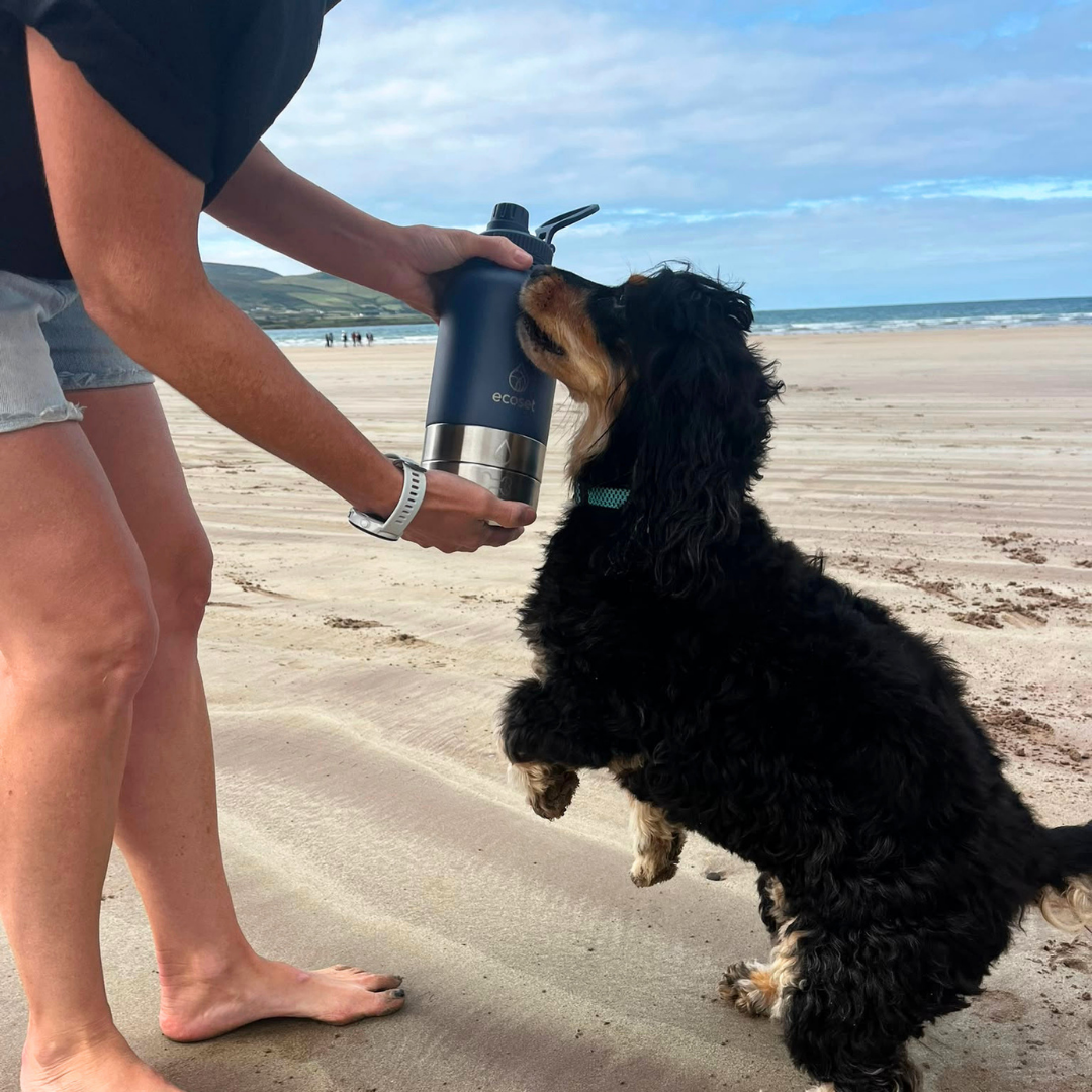 Pet Bottle - Ecoset for your Pet